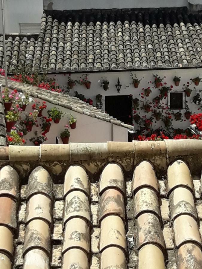 Los Tejares Del Alcazar Córdoba Exterior foto