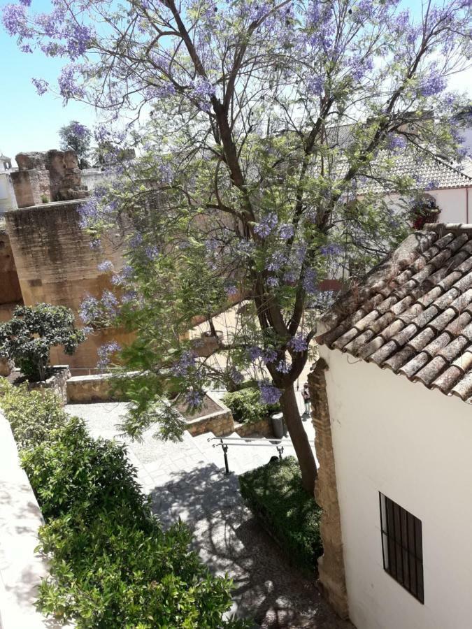 Los Tejares Del Alcazar Córdoba Exterior foto